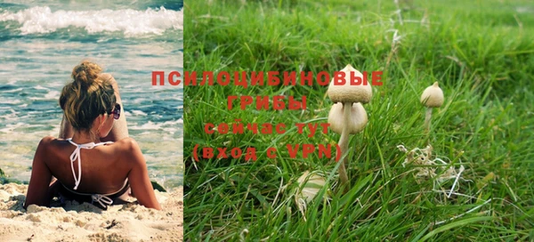 кокс Баксан