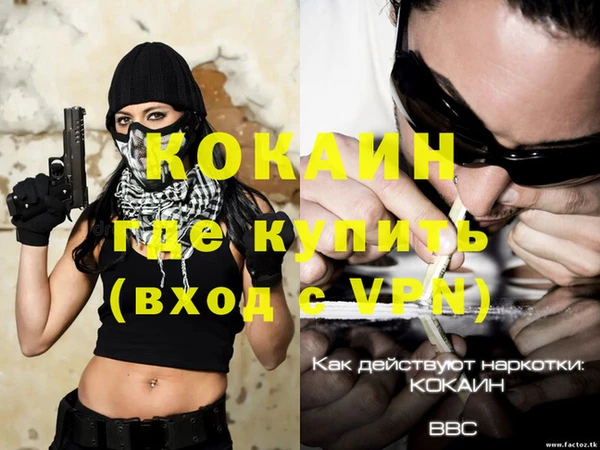 кокс Баксан